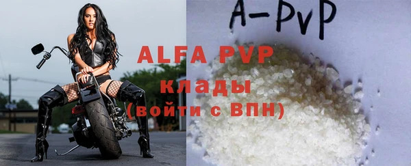 ешки Белокуриха