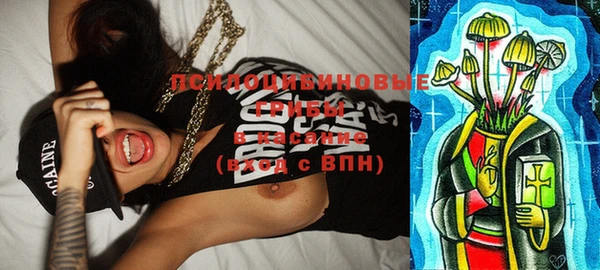 ешки Белокуриха