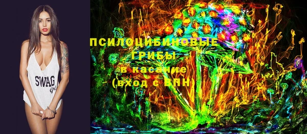 ешки Белокуриха